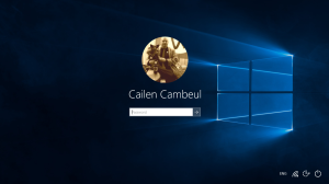 Windows10Login2